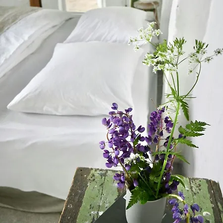 Charming Summer House On North Langeland Casa vacanze