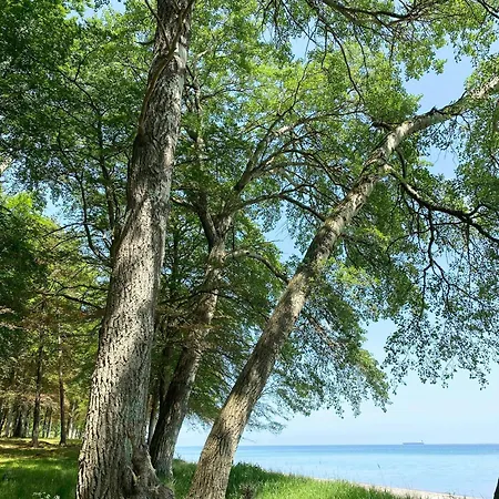 Charming Summer House On North Langeland Tranekær