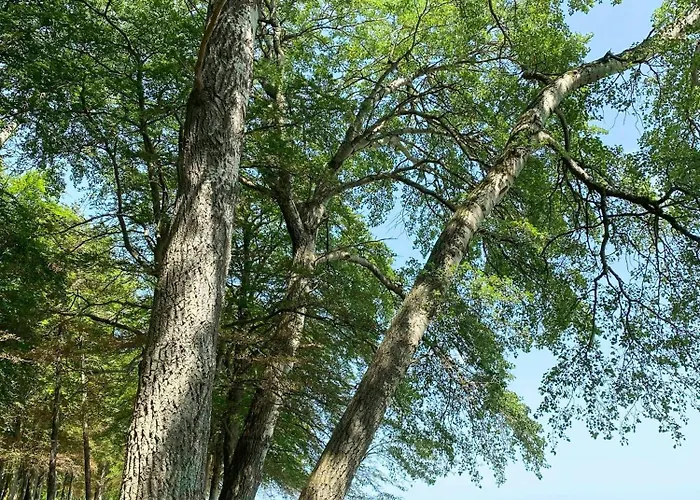 Charming Summer House On North Langeland Транекер