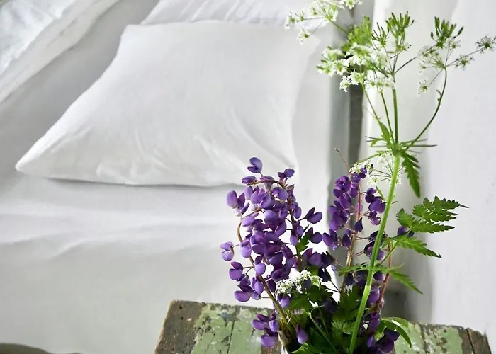 Charming Summer House On North Langeland